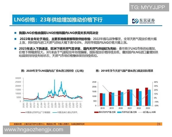 深度分析LNG市场转型策略与未来发展趋势探讨