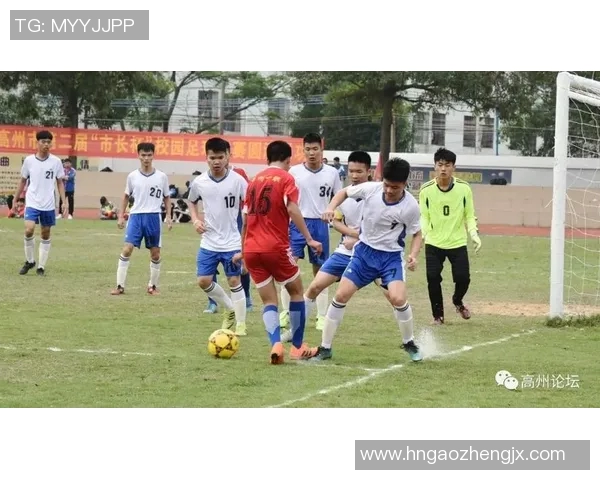 亚洲杯历程回顾与发展趋势分析：从创办初期到现代足球竞技的变革