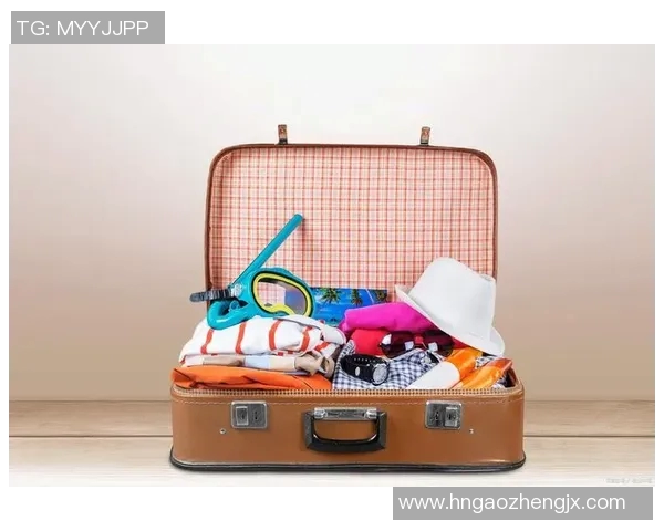 探索箱包设计的未来趋势与创新技术，打造个性化与智能化旅行体验