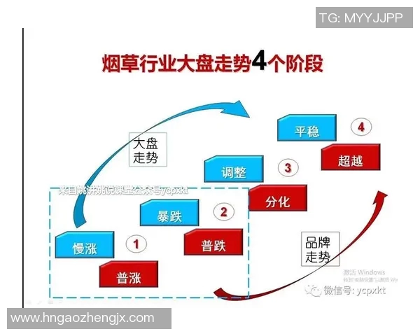 勒沃库森足球俱乐部历史辉煌与未来发展展望分析